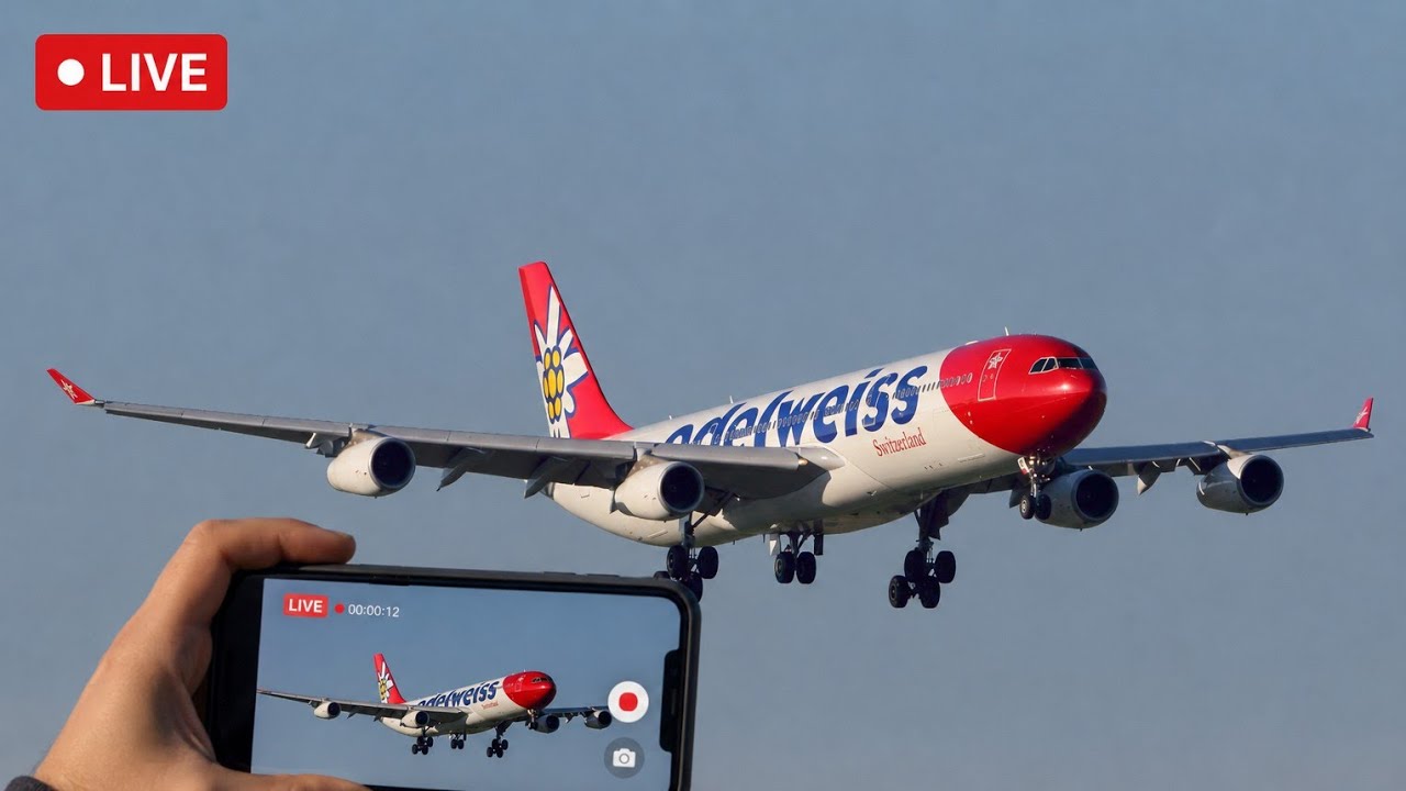 🔴 LIVE Plane Spotting at Faro Airport (FAO) | Edelweiss A340 & Holiday Traffic! ✈️