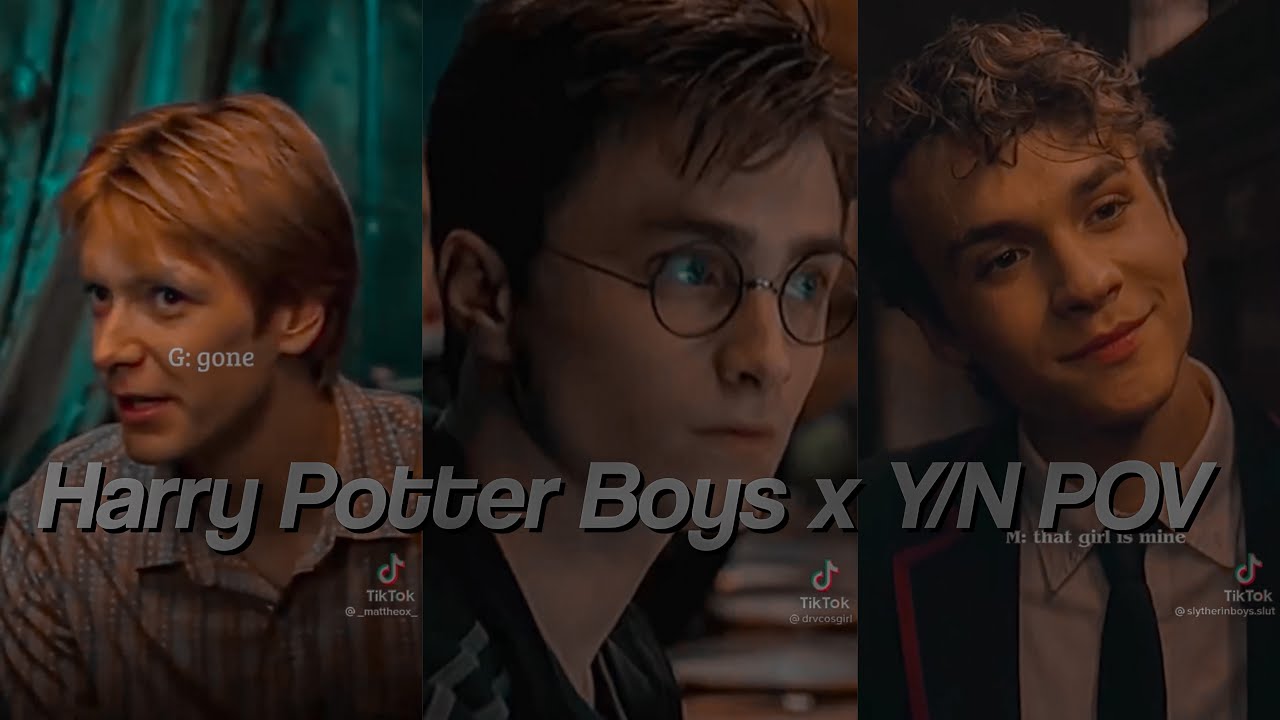 Harry Potter Boys x Y/N TikTok POV