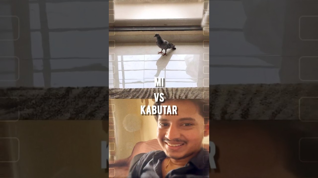 Me n my 🐦                               #birds #comedyshorts #funny #minivlog