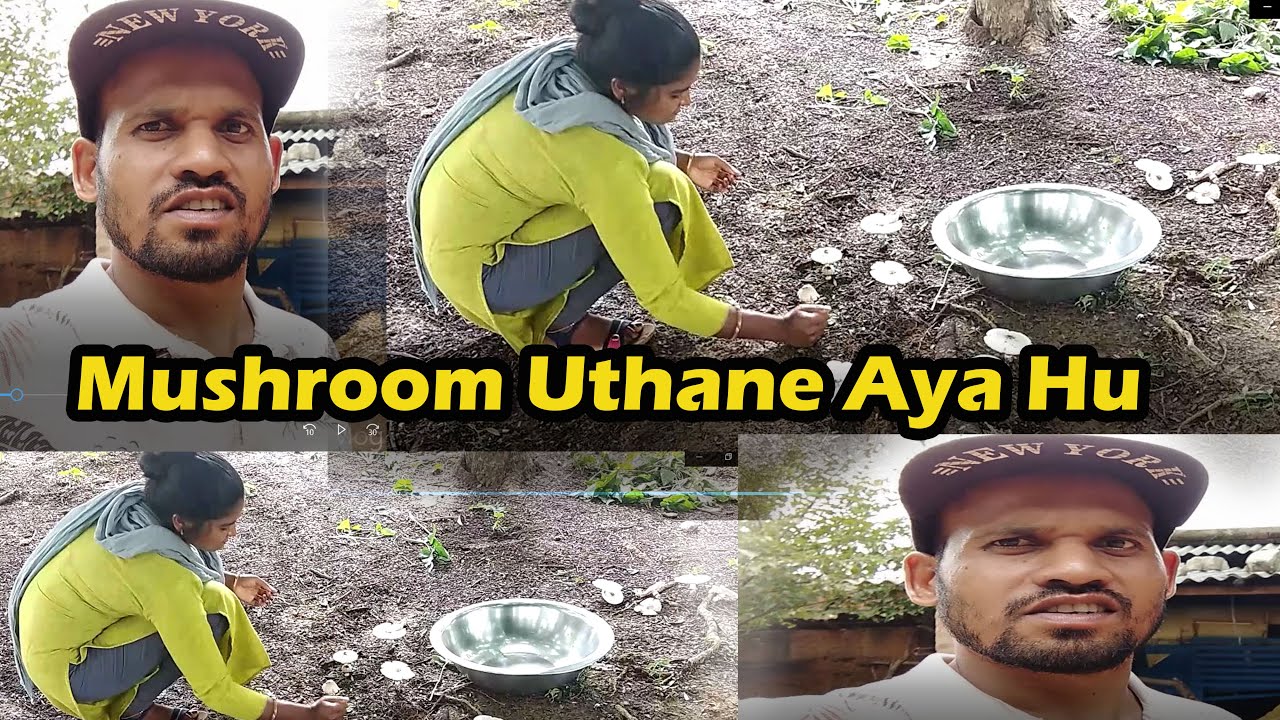 Mushroom Lene Sasural aya Hu...#VLOG-133 | Oscar Lakra Vlogs |