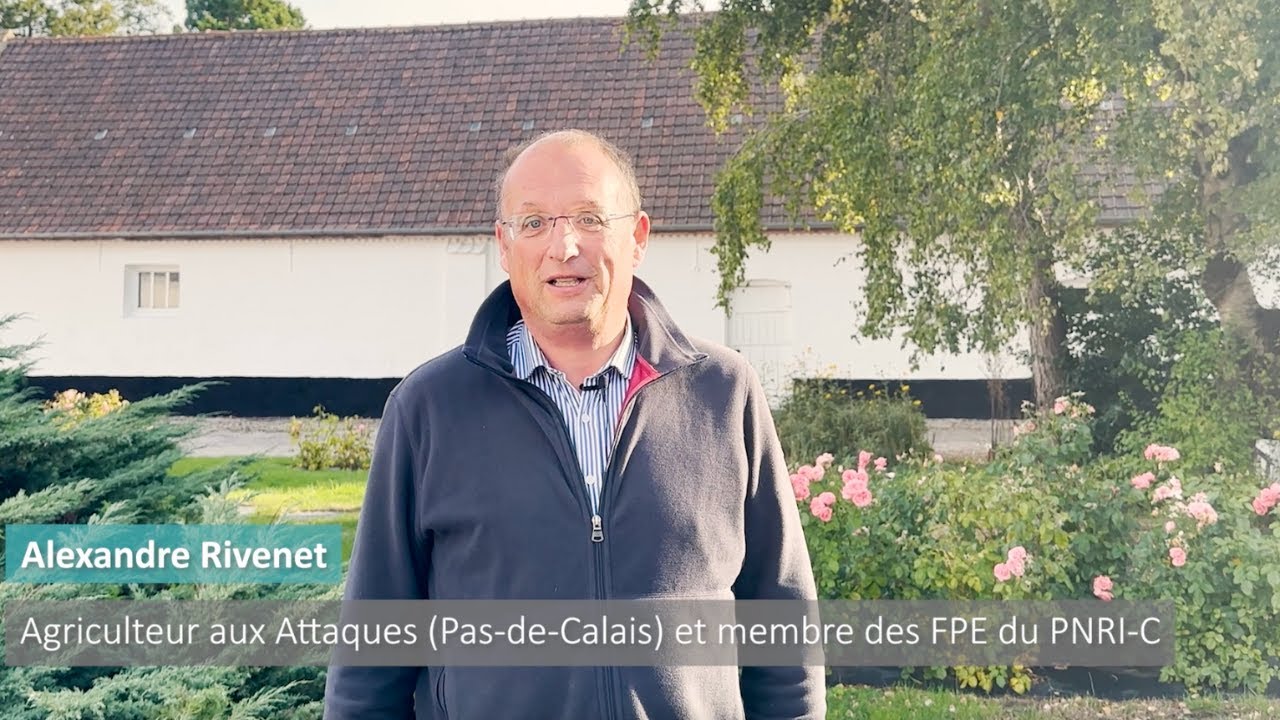 L'implication des betteraviers dans la recherche contre la jaunisse