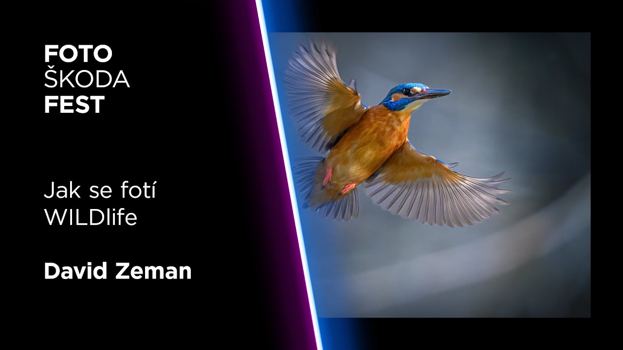 FotoŠkoda FEST Jaro 2023 - David Zeman: Jak se fotí WILDlife