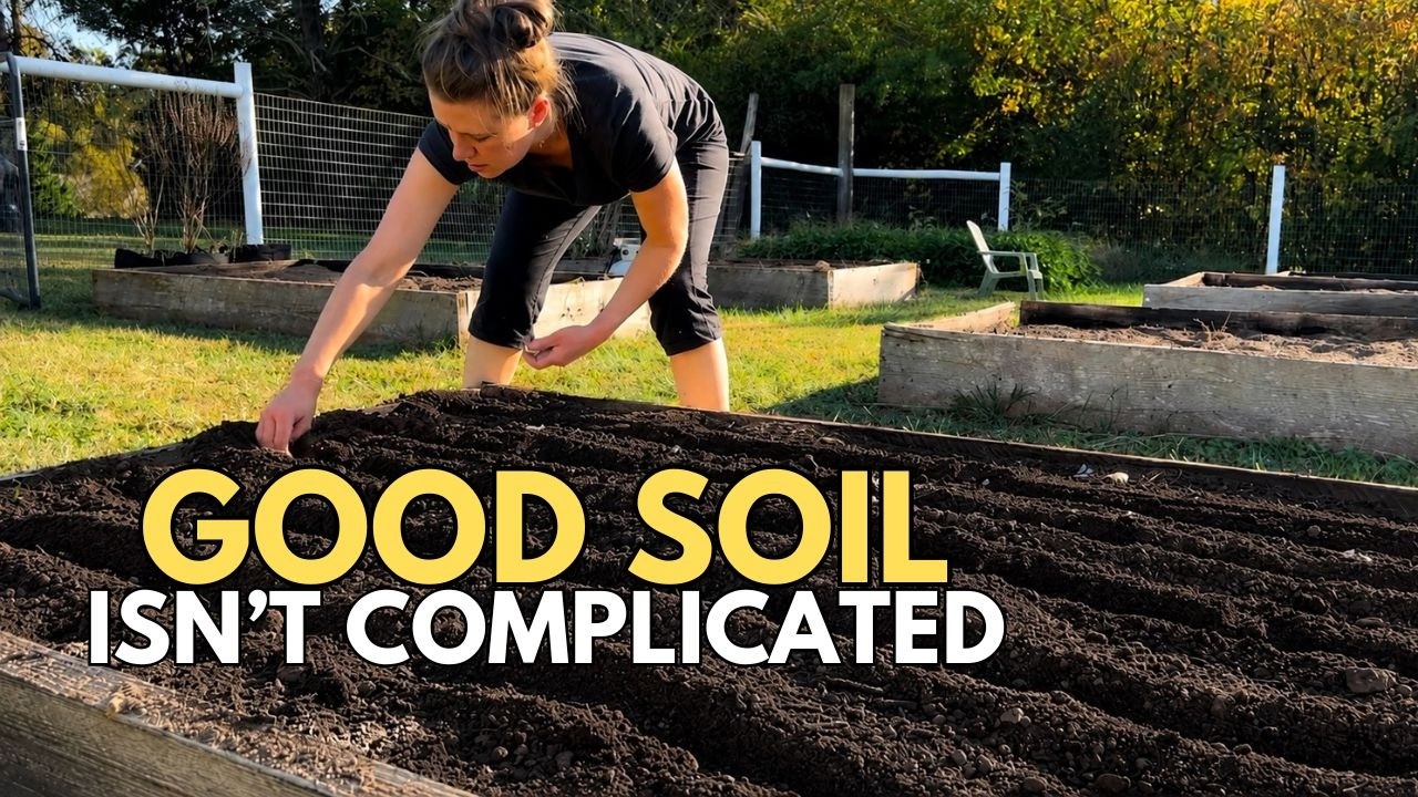 The Ultimate Guide to the Best Organic Garden Soil