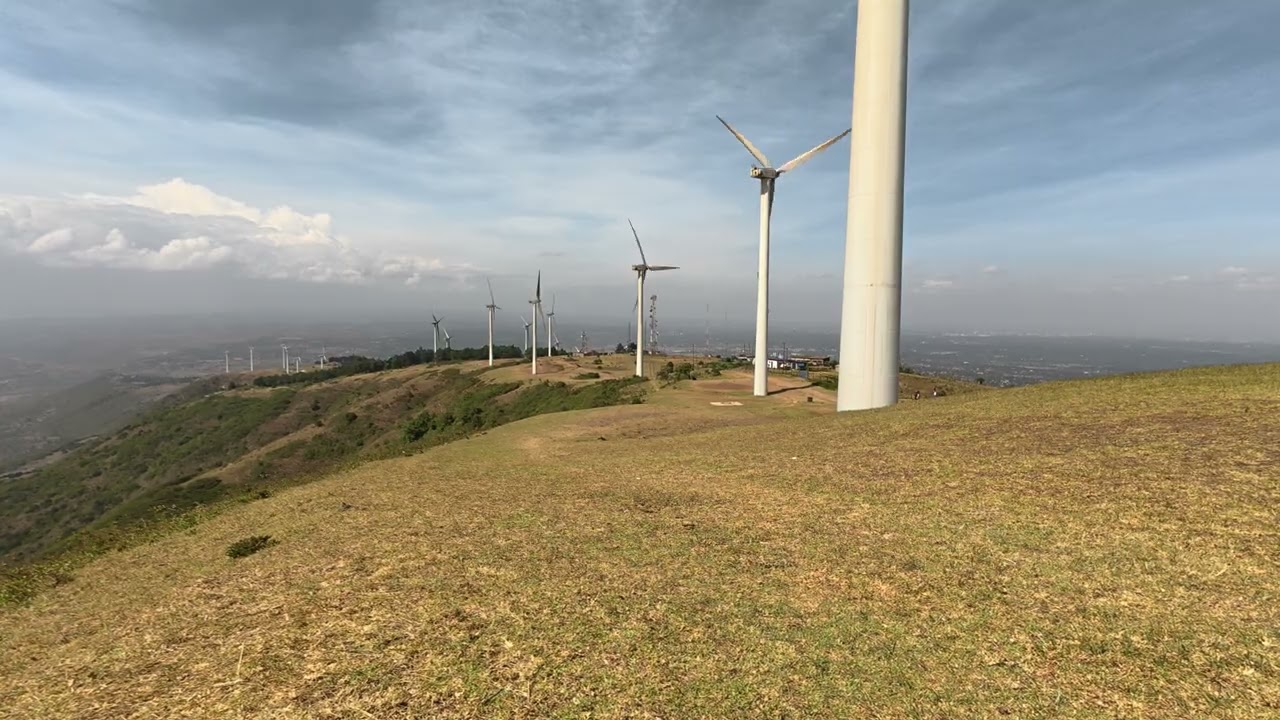 Silent Giants in Motion