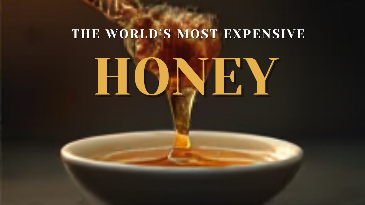 Most Expensive Honey In The World #luxury #shorts