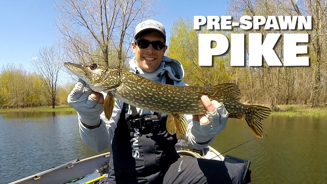 My SECRET LURE Setup for Catching Pre-Spawn Pike, a bonus NEW PB, and a Bowfin INVASION!