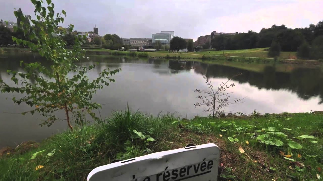 Timelapse-Hyperlapse LLN (Test)