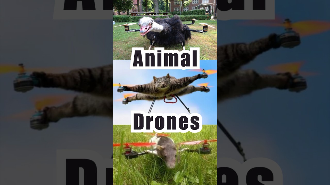 Sneaky spy drones 