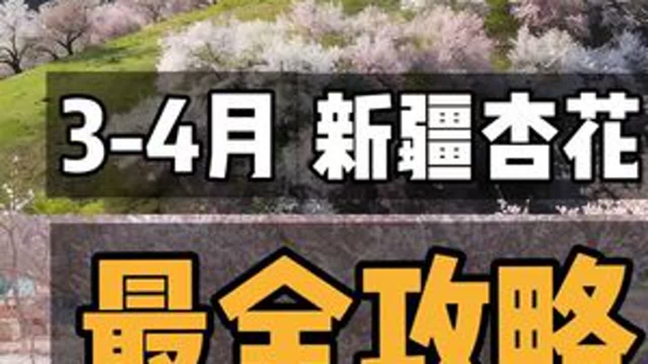还在纠结南疆北疆杏花怎么选？又要等一年了！ #新疆旅游攻略