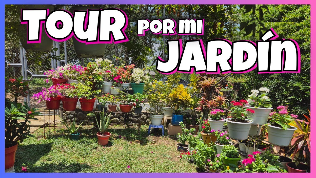 🥳RECORRIDO POR MI JARDÍN plantas vibrantes 😍/Liliana Muñoz