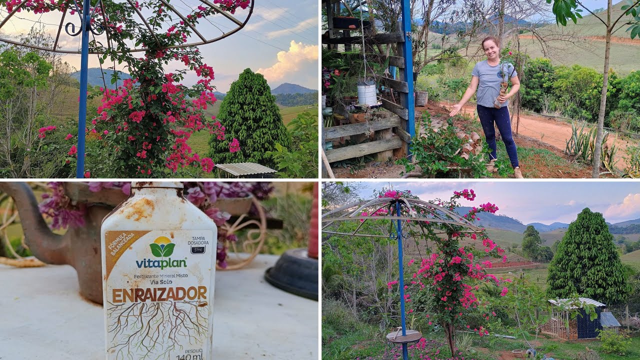 Fazendo Minhas Próprias Mudas e Plantando meu Jardim