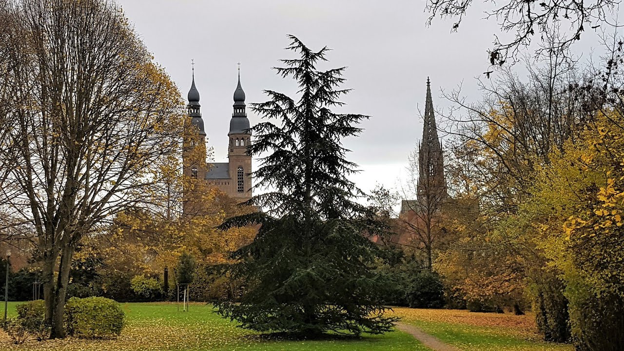 Speyer Stadtgeläute Advent 2022