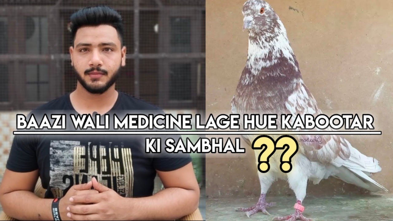 BAAZI WALI MEDICINE LAGE HUE KABOOTAR KI SAMBHAL ( KABOOTARBAZI )