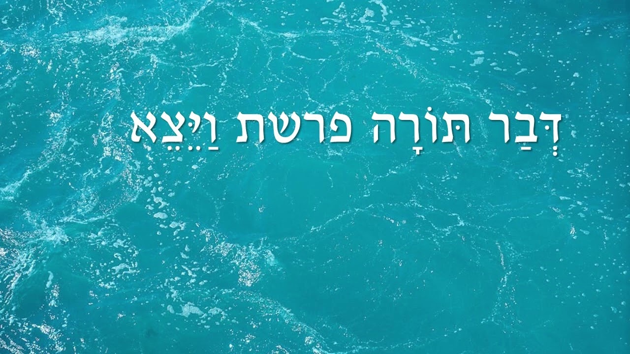 דבר תורה פרשת ויצא