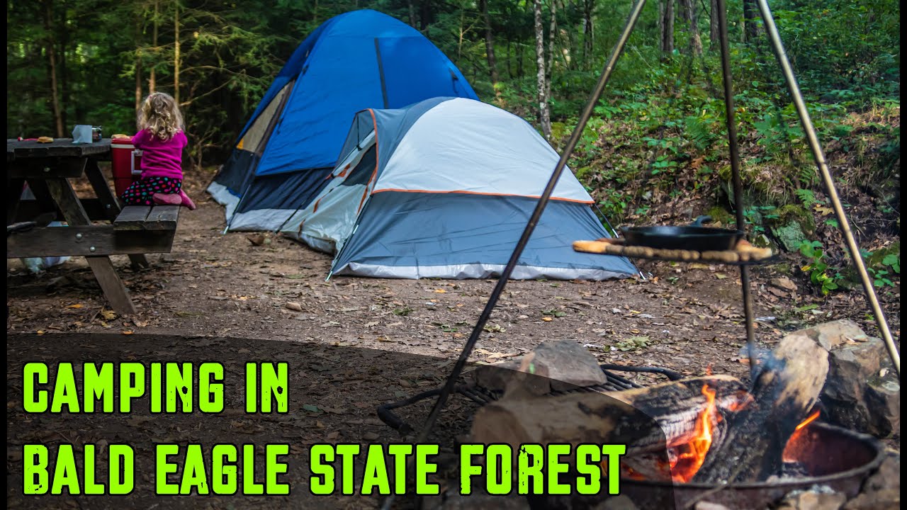 Camping Trip in the Bald Eagle State Forest