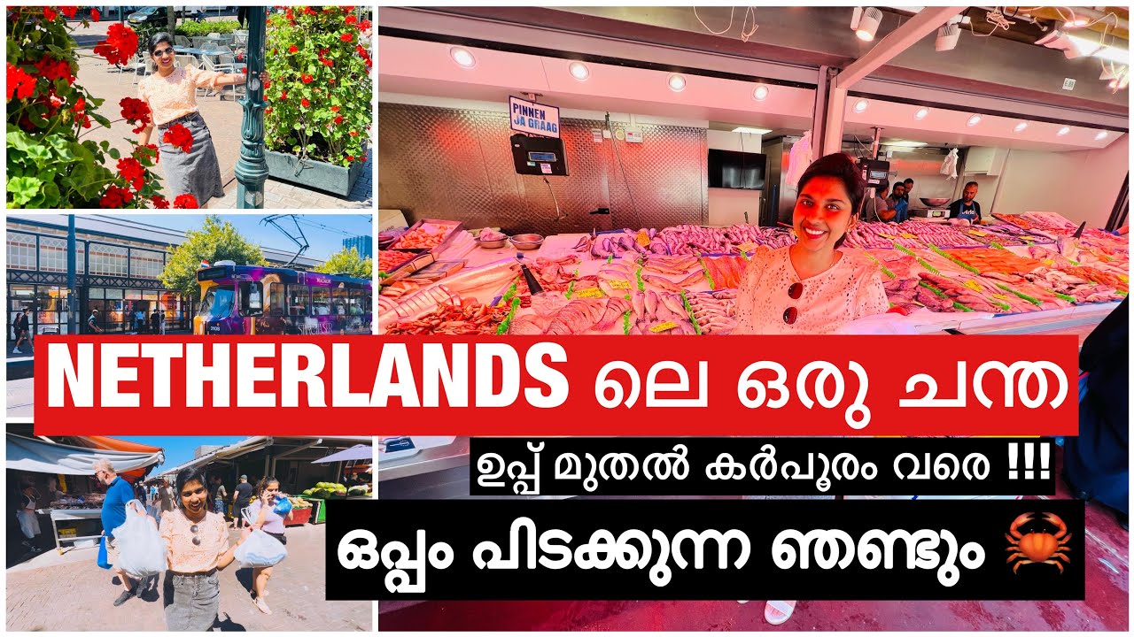 HAGUE MARKET | MEAT-FISH | VEGETABLES | CLOTHS | ELECTRONICS | RESTAURANTS | |SHOPPING | NETHERLANDS