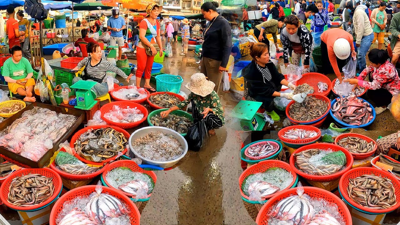 Cambodia Freshwater Fish Market. The Cold Market, Rich in Fresh Fish, Big and Small.