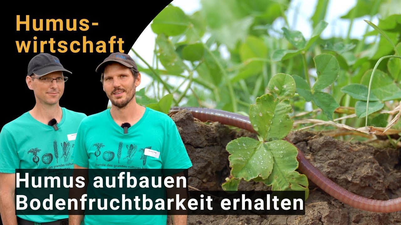 Humuswirtschaft: Humus aufbauen &ndash; Bodenfruchtbarkeit erhalten
