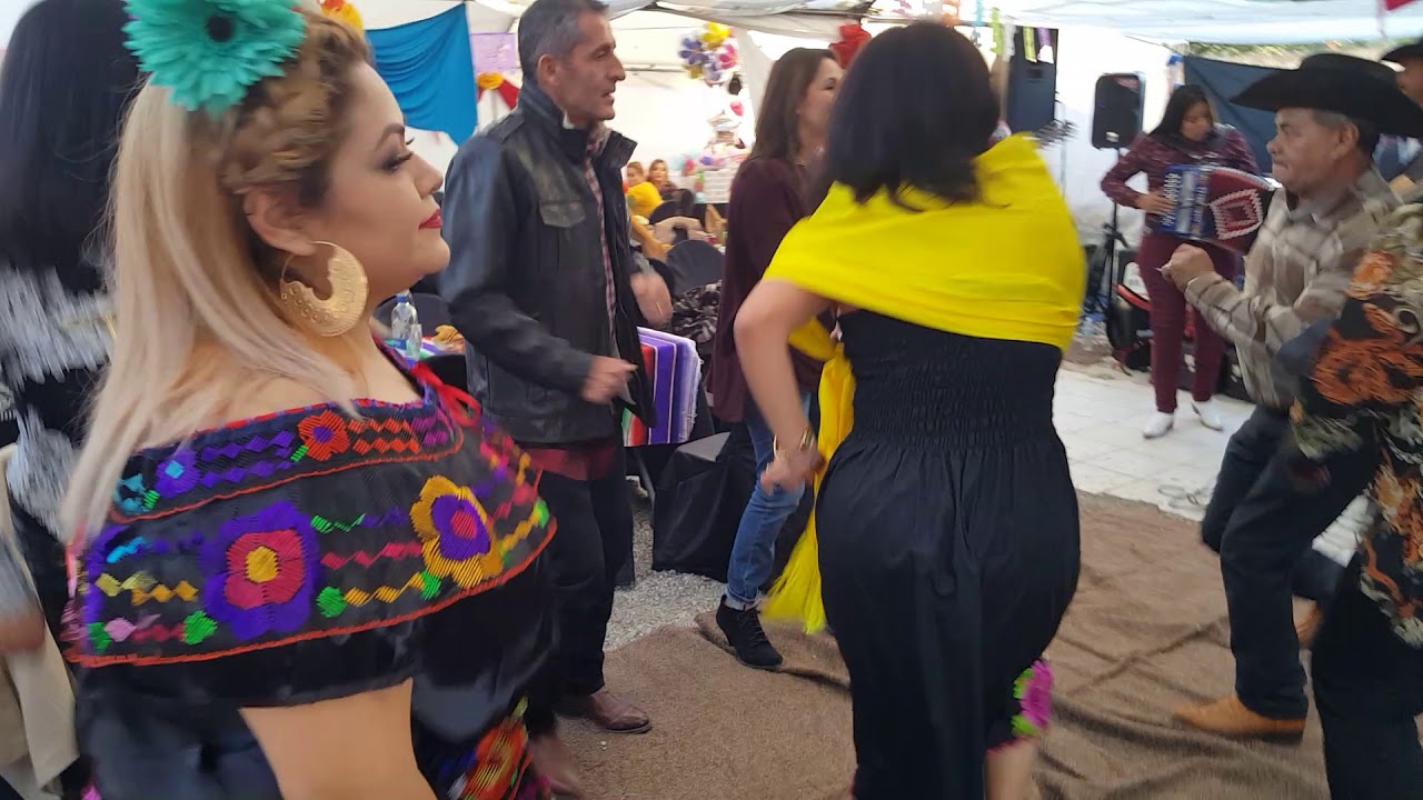 Ch terreno norteño la abeja miope y la peinada