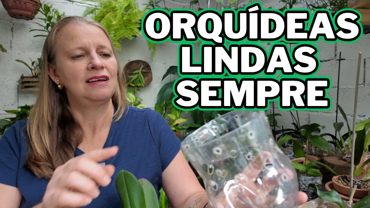 COMO RECUPERAR AS ORQUÍDEAS SEM FLORES COLOCANDO NA PEDRA BRITA