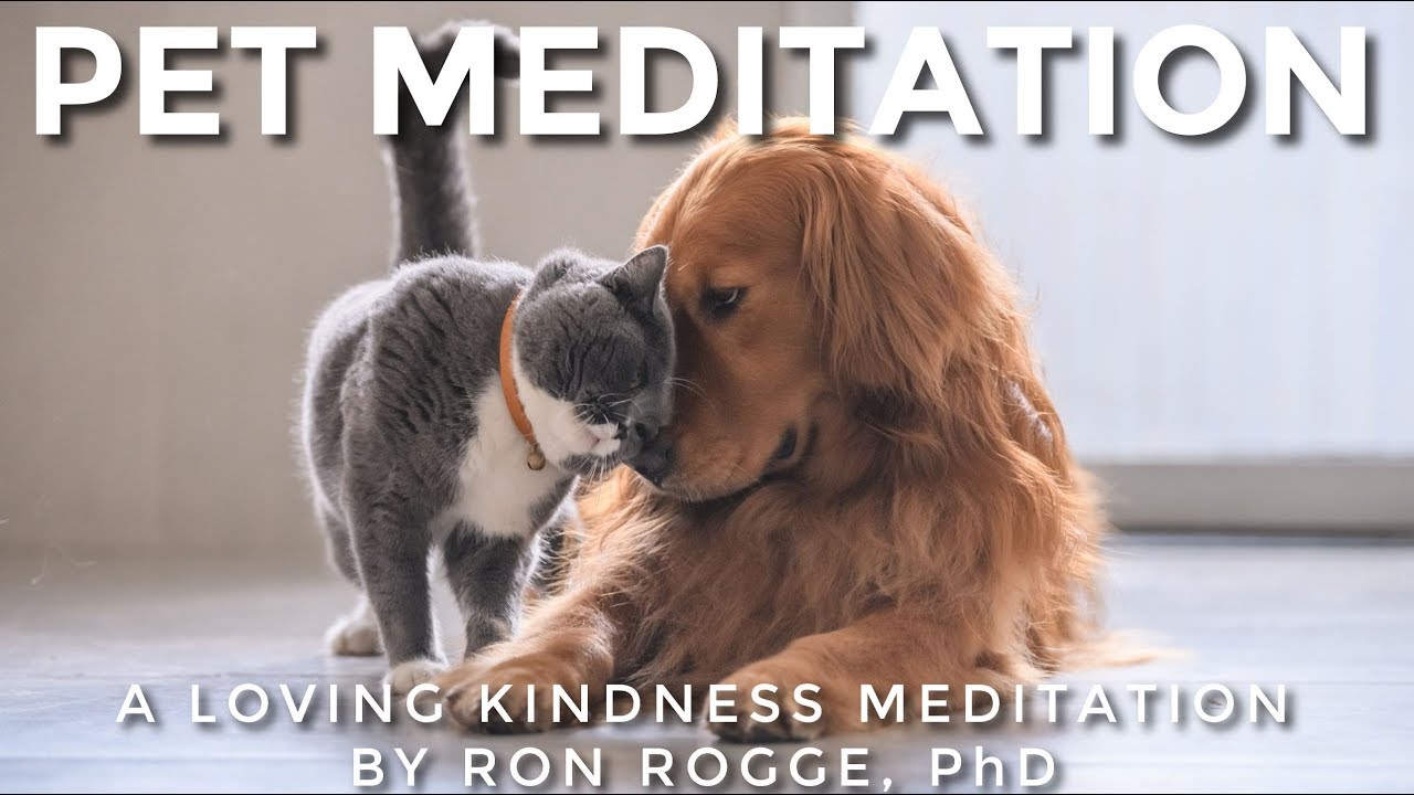 Guided Gratitude/Loving-Kindness Meditation with Pets