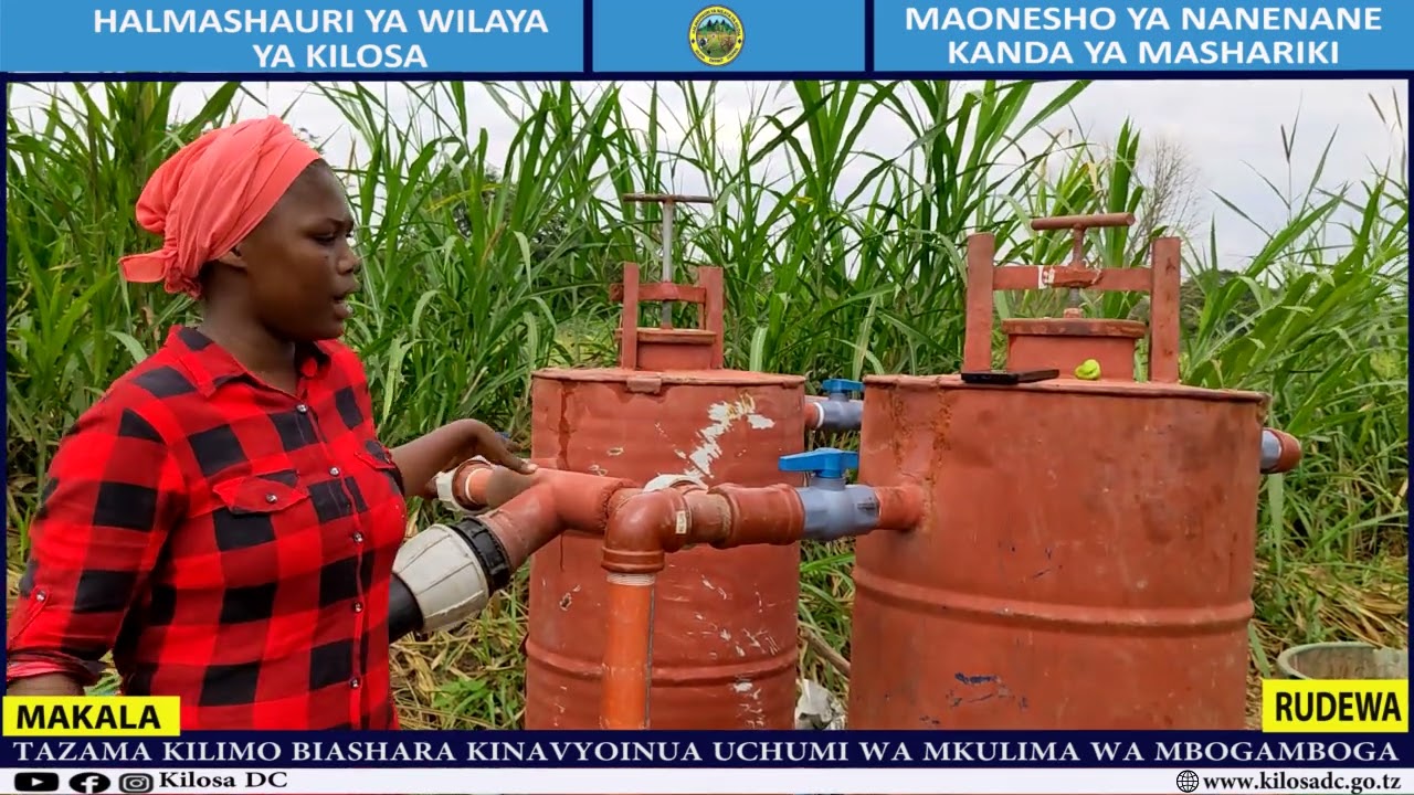 TAZAMA KILIMO BIASHARA KINAVYOINUA UCHUMI WA MKULIMA WA MBOGAMBOGA