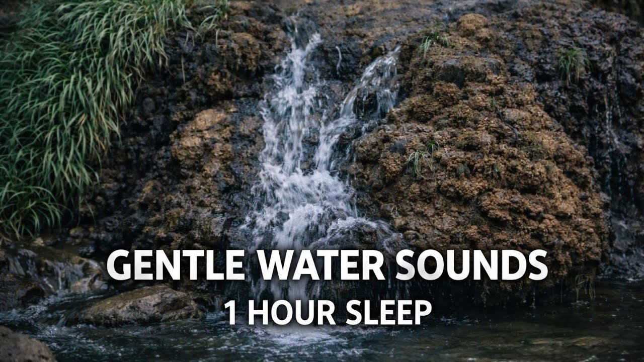 Gentle Small Waterfall in the Forest 🌿 Relaxing Nature Sounds for Sleep (1 Hour)