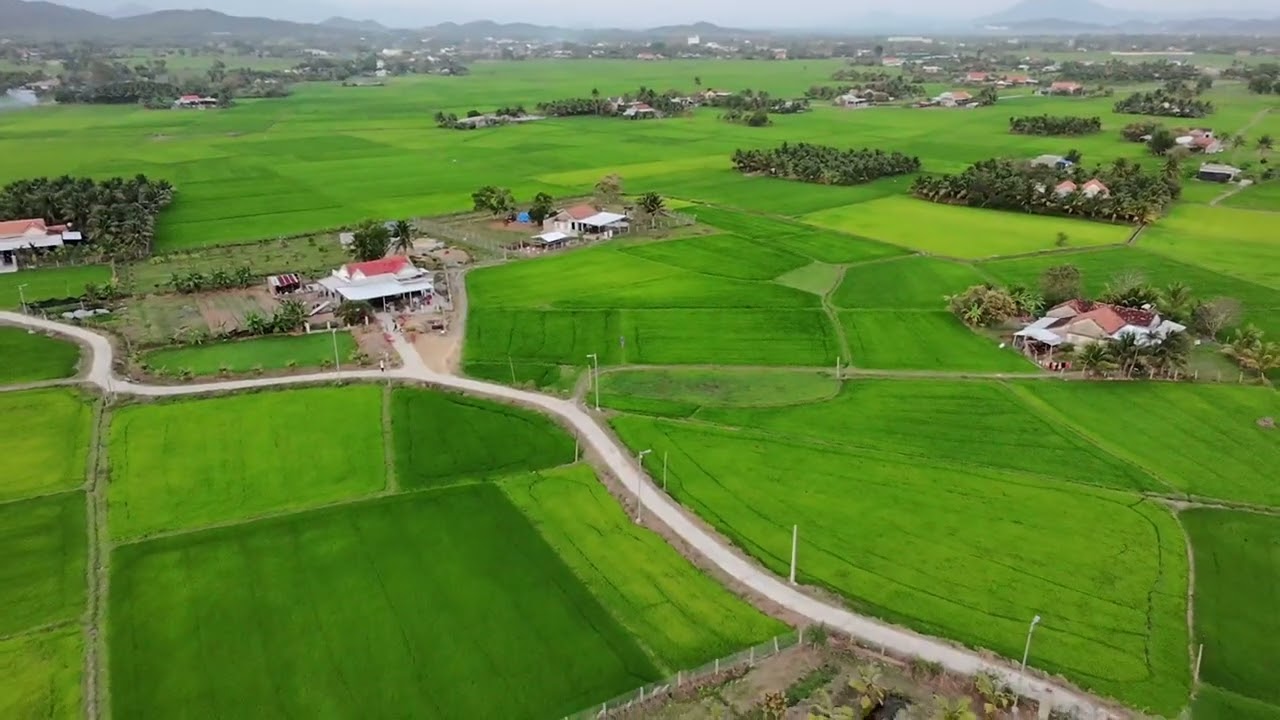 Tuyệt phẩm Quê nhà ngày giáp Tết, đẹp hơn cả giấc mơ