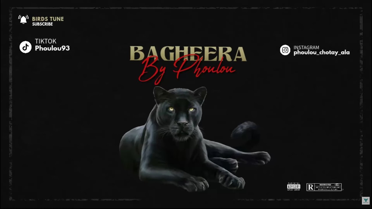Phoulou - BAGHEERA ( Official Music Video ) | Latest Punjabi Song