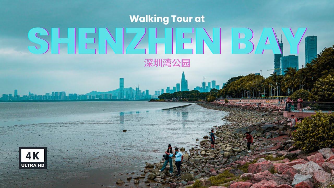Exploring Shenzhen Bay Park: An Urban Nature Walk (深圳湾公园)
