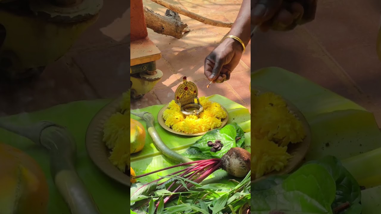 Pongalo Pongal from My PARADISE  