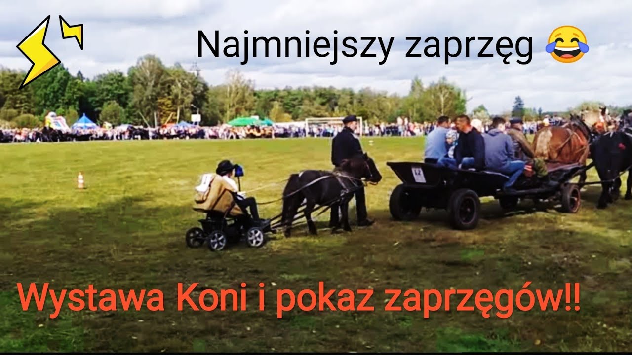 Najmniejszy zaprzęg!!!😅Wystawa koni i pokaz zaprzęgów Górki 2019