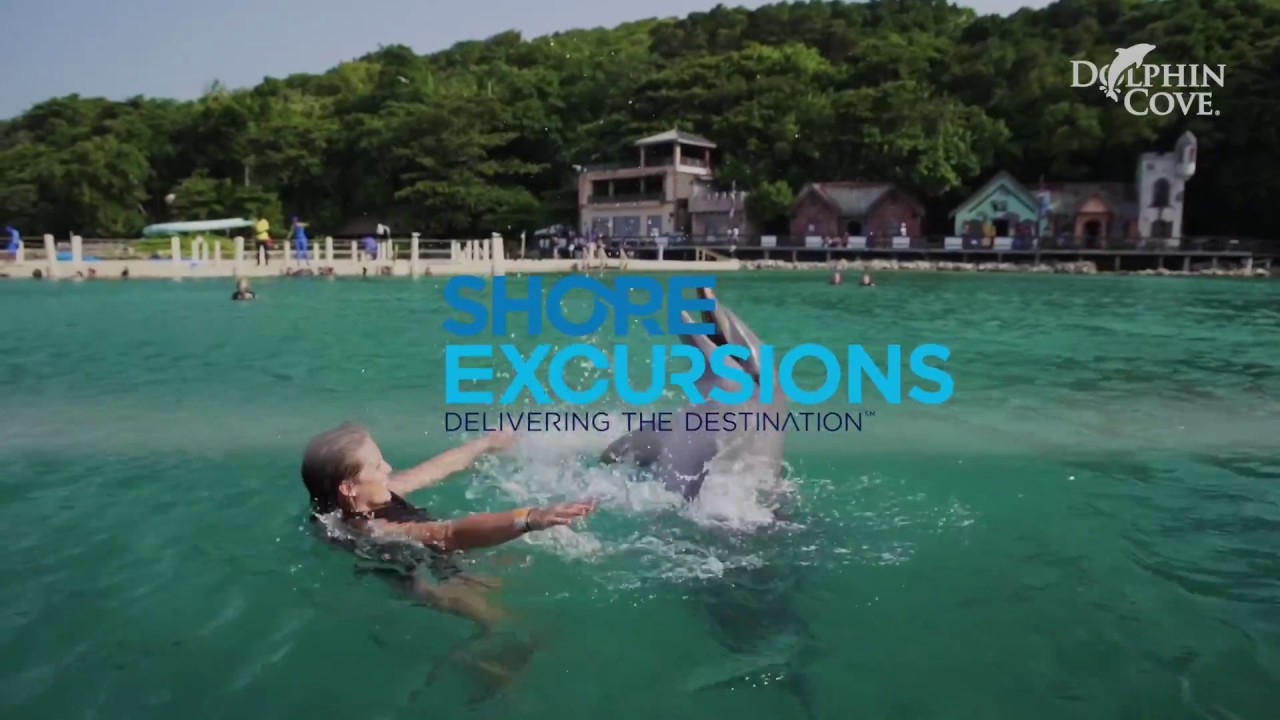 Falmouth Dolphin Cove Swim