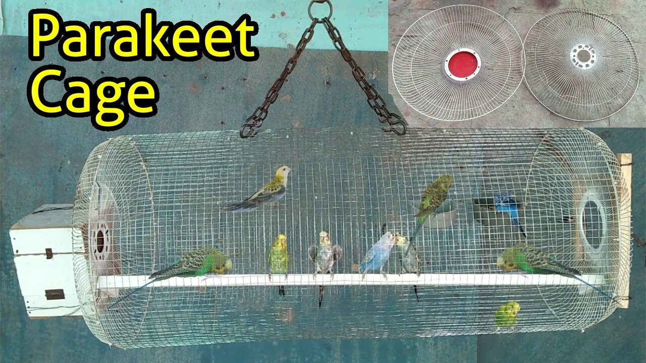 Homemade Parrot Cage From Fan Guards || Beautiful Easy Parakeet Cage || Budgies House