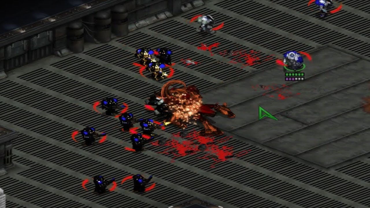 Starcraft UEDAIP Brood War T7: Кровь патриота