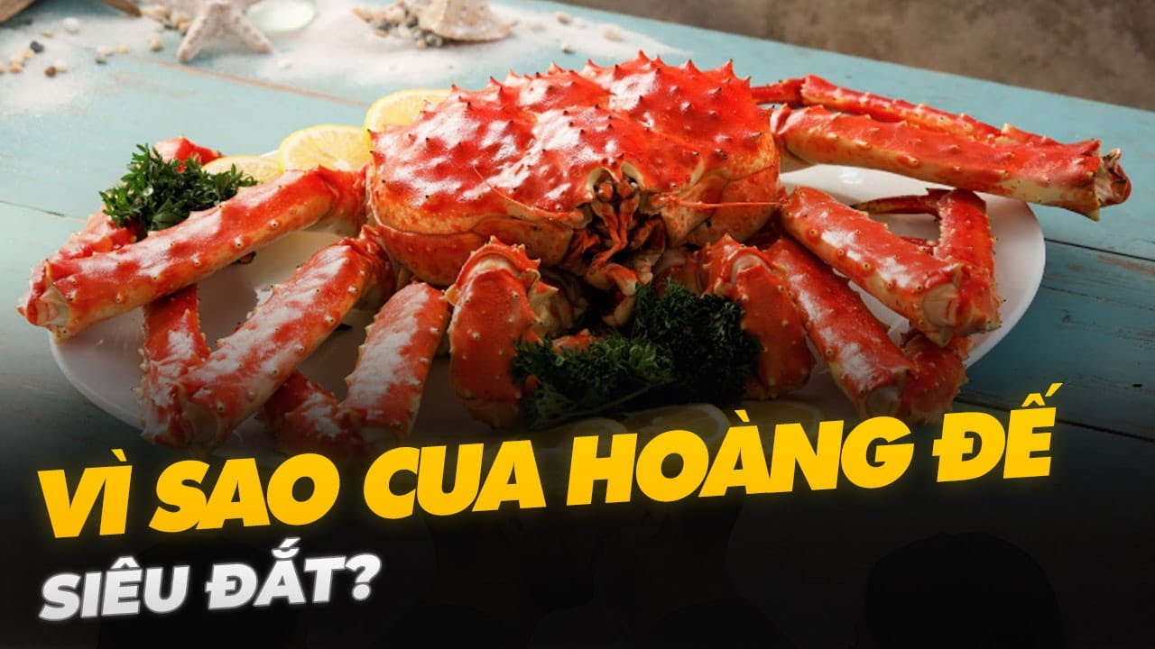 VÌ SAO CUA HOÀNG ĐẾ SIÊU ĐẮT?