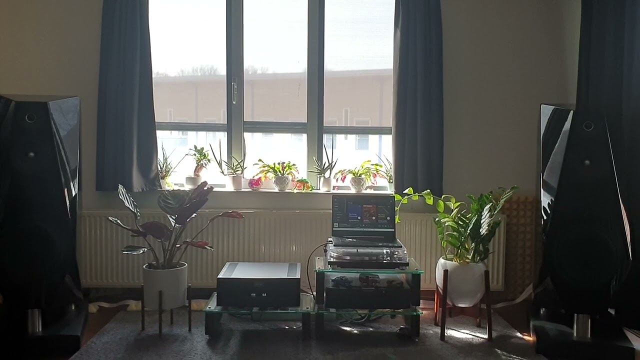 Diapason Dynamis With Hegel H590 and Nordost Frey2 speakercables.