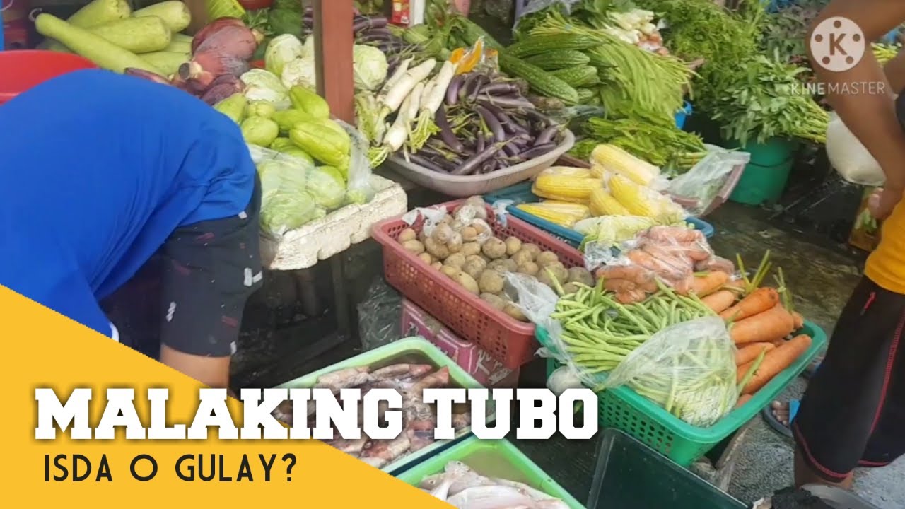 ano malaki tubo isda o gulay?(di pwede hamakin ang fish vendor laki ng kitaan)part 1