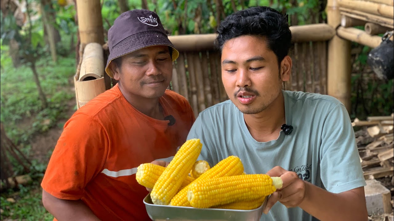 PANEN JAGUNG MANIS,DAN ADA HAL TAK TERDUGA!!!