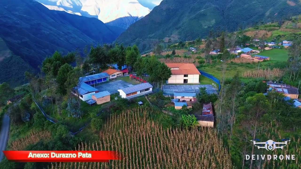 DURAZNO PATA Valle Pauran - Huancayo 🇵🇪 || Vraem