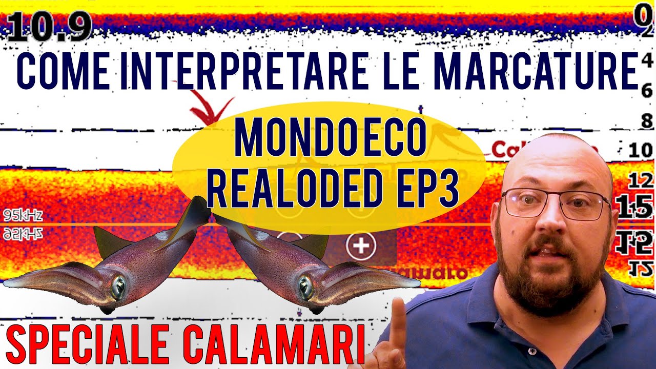 Marcature dell'ecoscandaglio: come si interpretano?  CALAMARI: Mondo Eco Reloaded ep 3