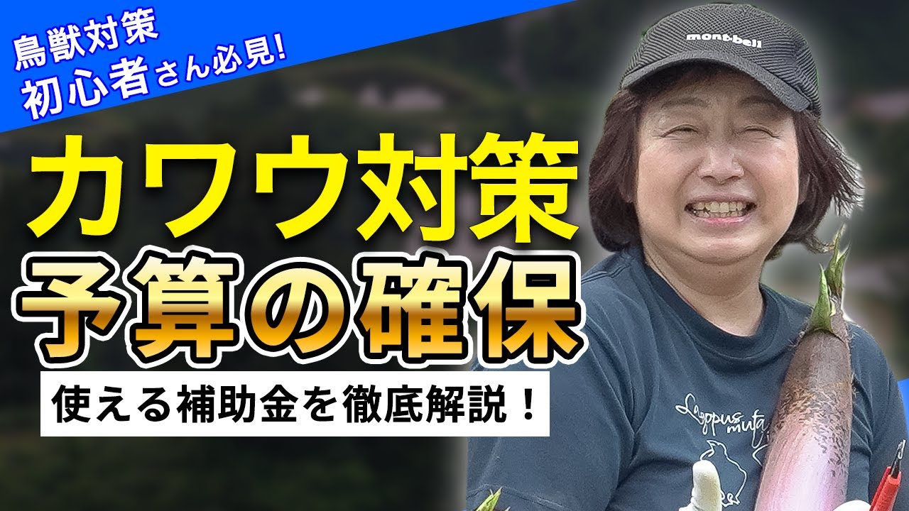 【カワウ 駆除】カワウの対策に使える補助金と活用法を徹底解説！行政担当者必見