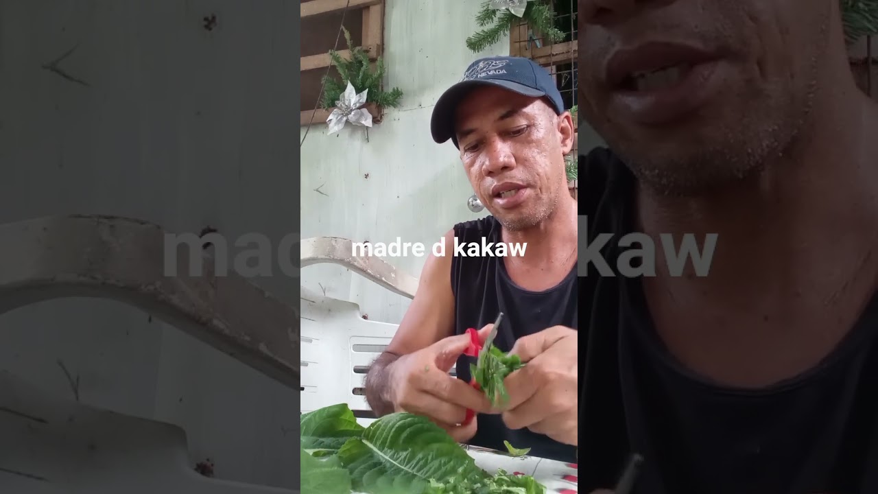 madre d kakaw 