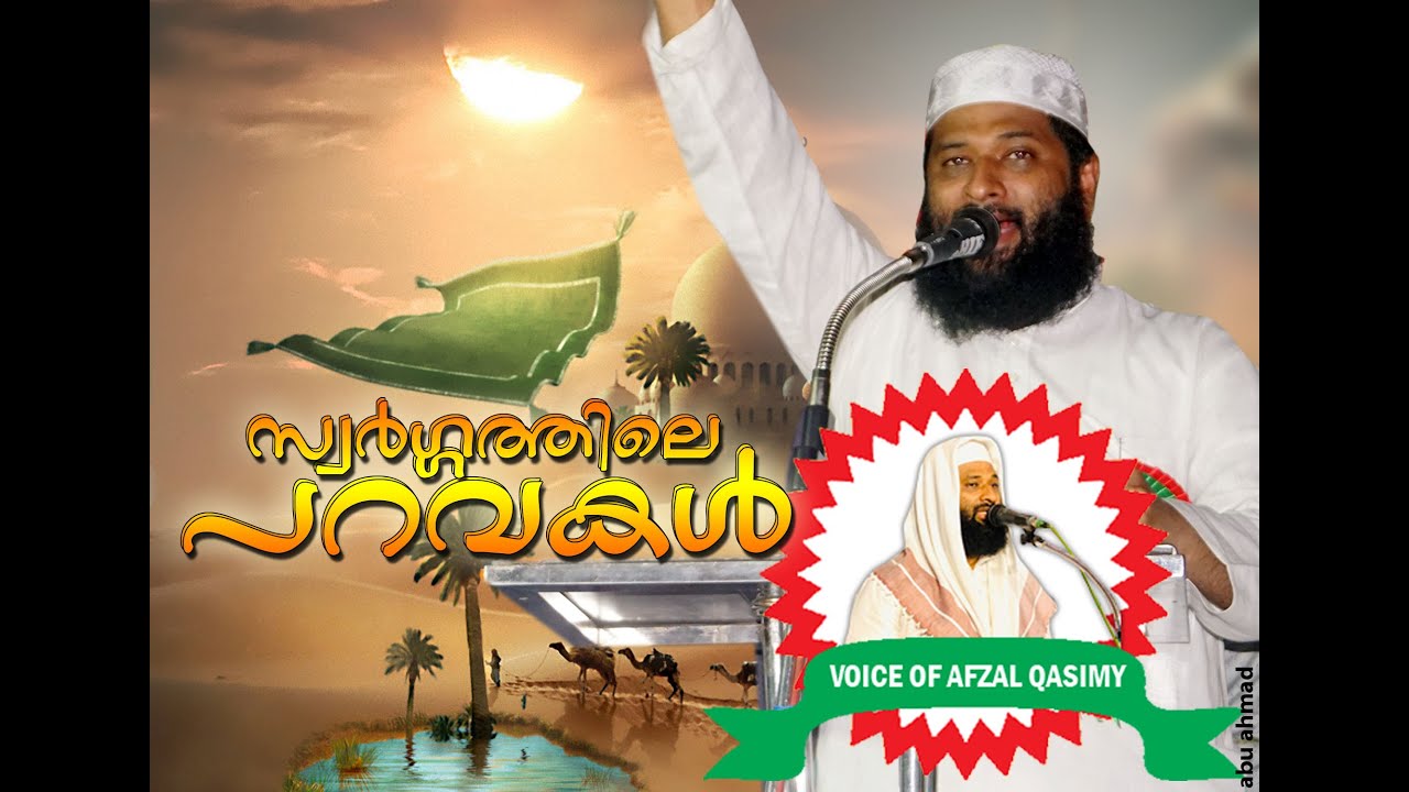 സ്വർഗ്ഗത്തിലെ പറവകൾ |ഹാഫിസ് അഫ്സൽ ഖാസിമി                     |AFSAL QASIMI
