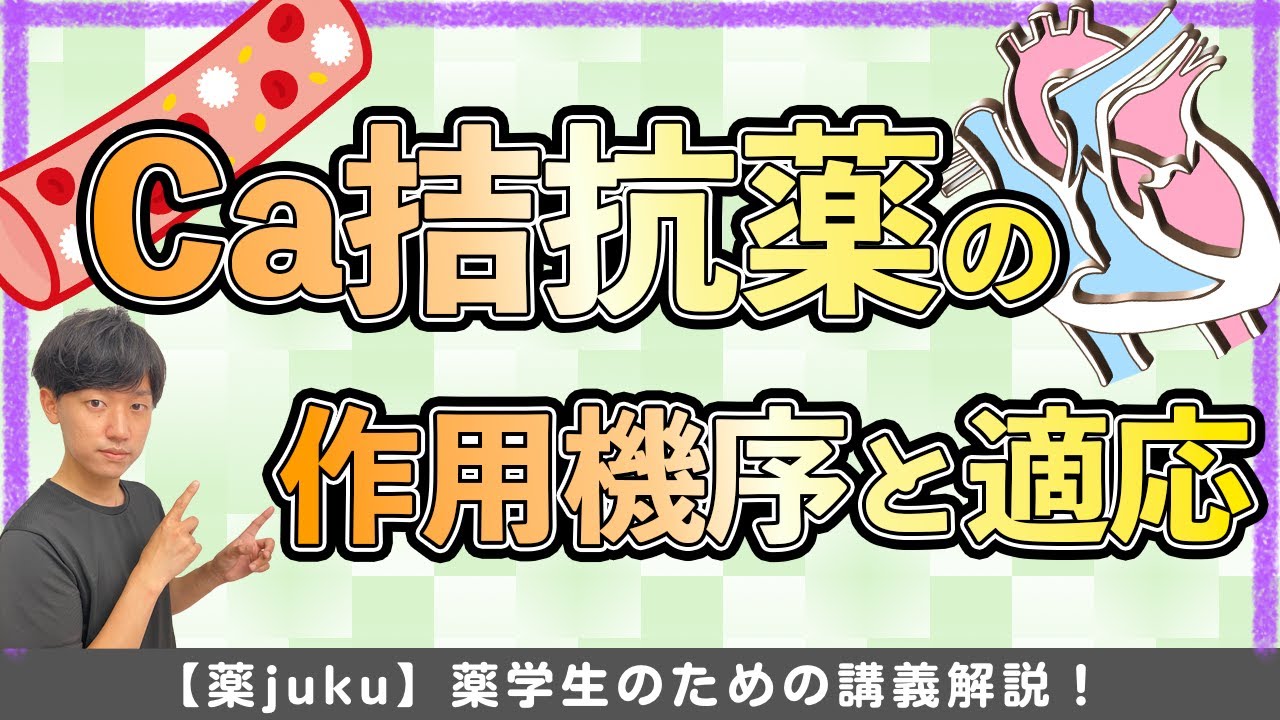 【カルシウム拮抗薬】作用機序と適応を解説！薬剤師国家試験