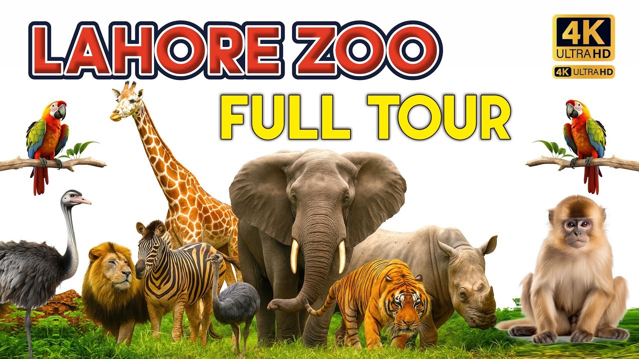 Lahore Zoo in 4K | Lahore Zoo 2025 | European Style Zoo in Pakistan | Lahore Zoo Animals Videos #zoo
