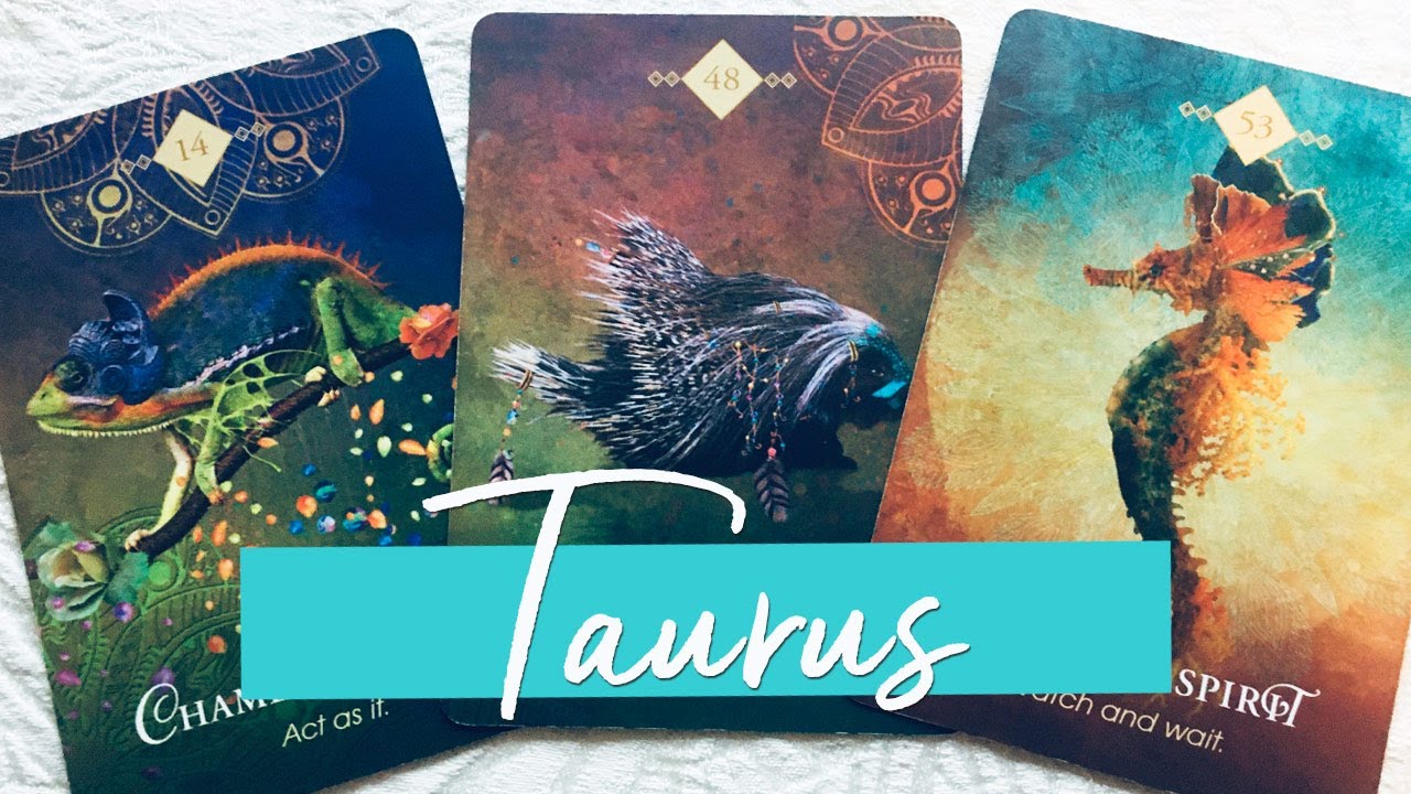 TAURUS - A FAIR OFFER. SET THOSE BOUNDARIES!