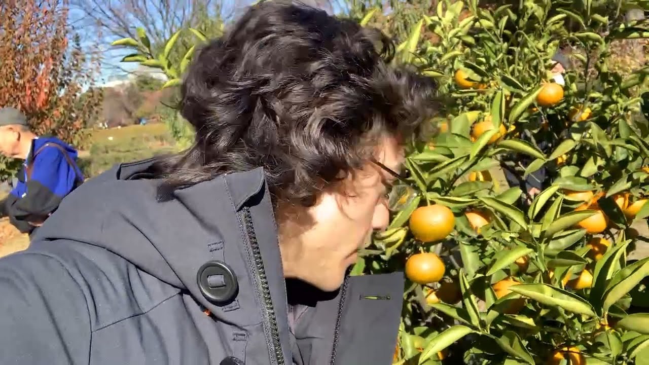 Do Not Eat the Forbidden Fruit at the Imperial Palace | Tokyo Japan Part 2