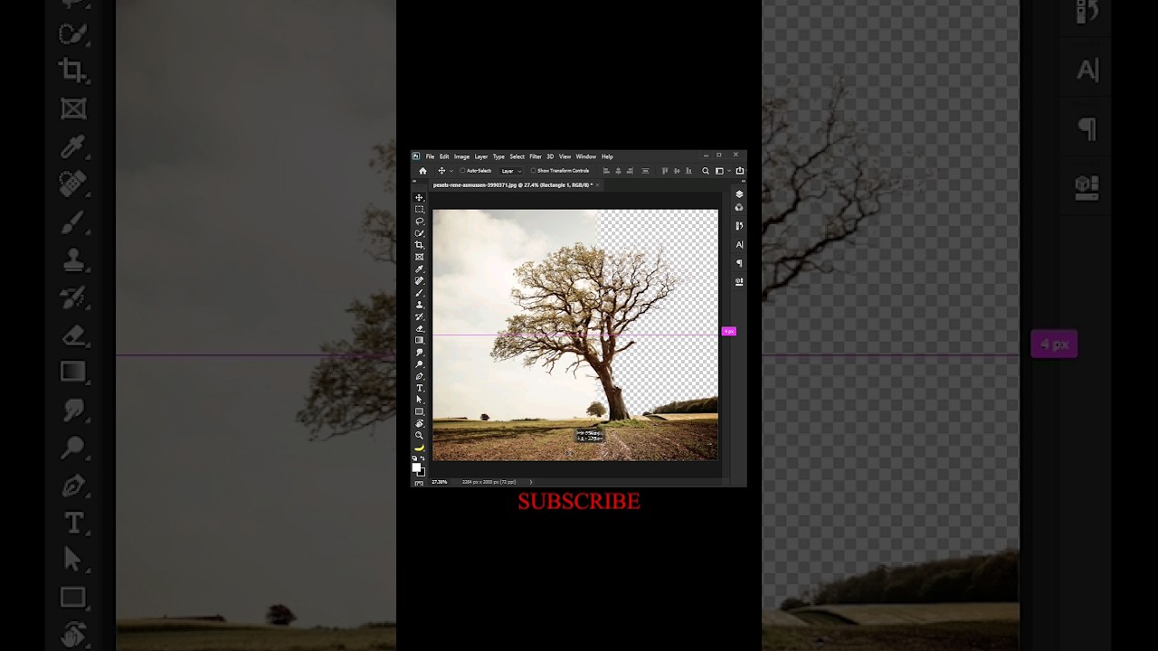 Easy tree selection in photoshop #shorts #photoshop