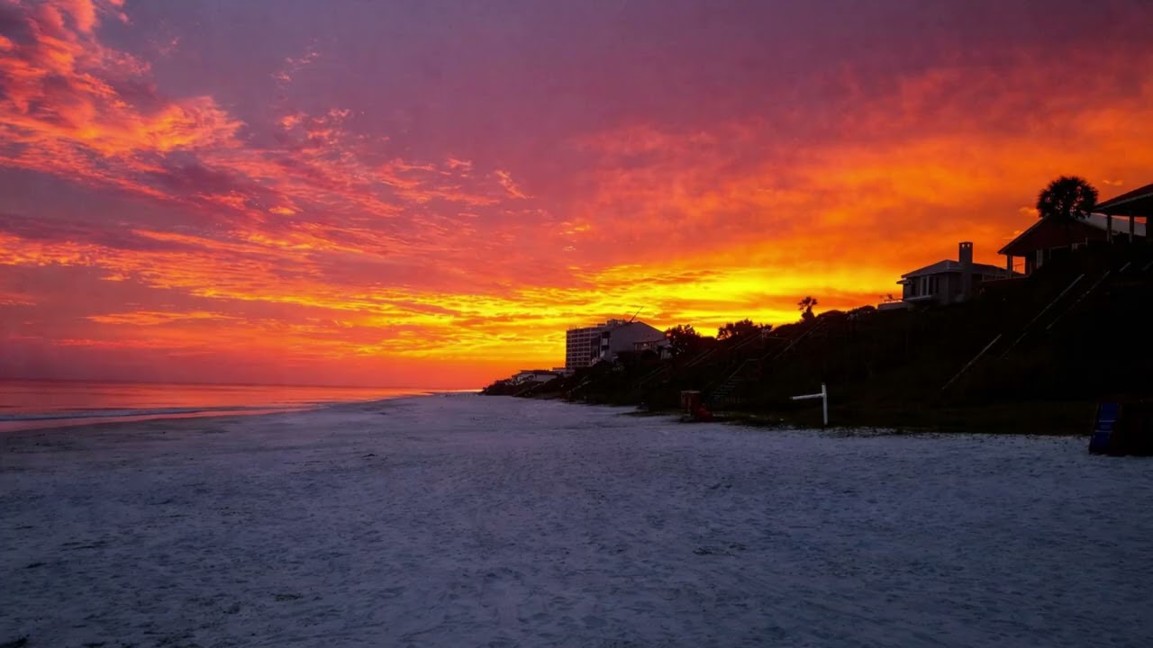 The Ocean Still Bleeds Scarlett for You